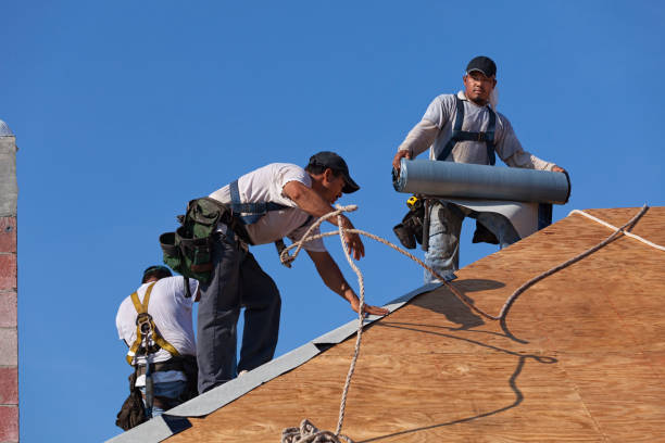 Best Roof Gutter Cleaning  in Harlan, IA