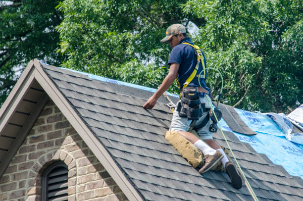 Best Roof Repair Services  in Harlan, IA